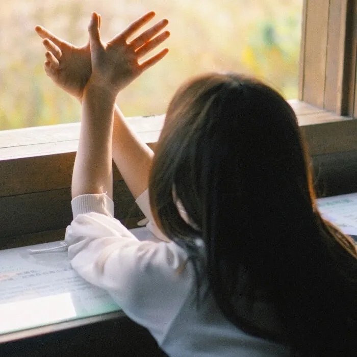 如果历史是一群喵第九季